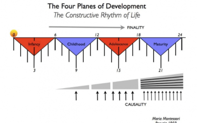 María Montessori y los planos del desarrollo