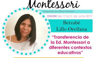 Transferencia a diferentes contextos educativos