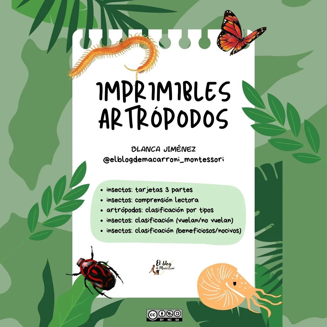 Recurso bundle educativo de verano: imprimibles insectos